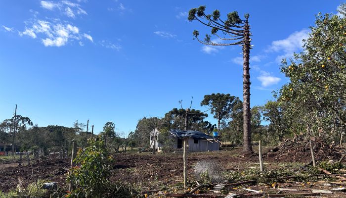 Simepar confirma tornado da categoria F2 em Reserva; ventos chegaram a 200 km/h